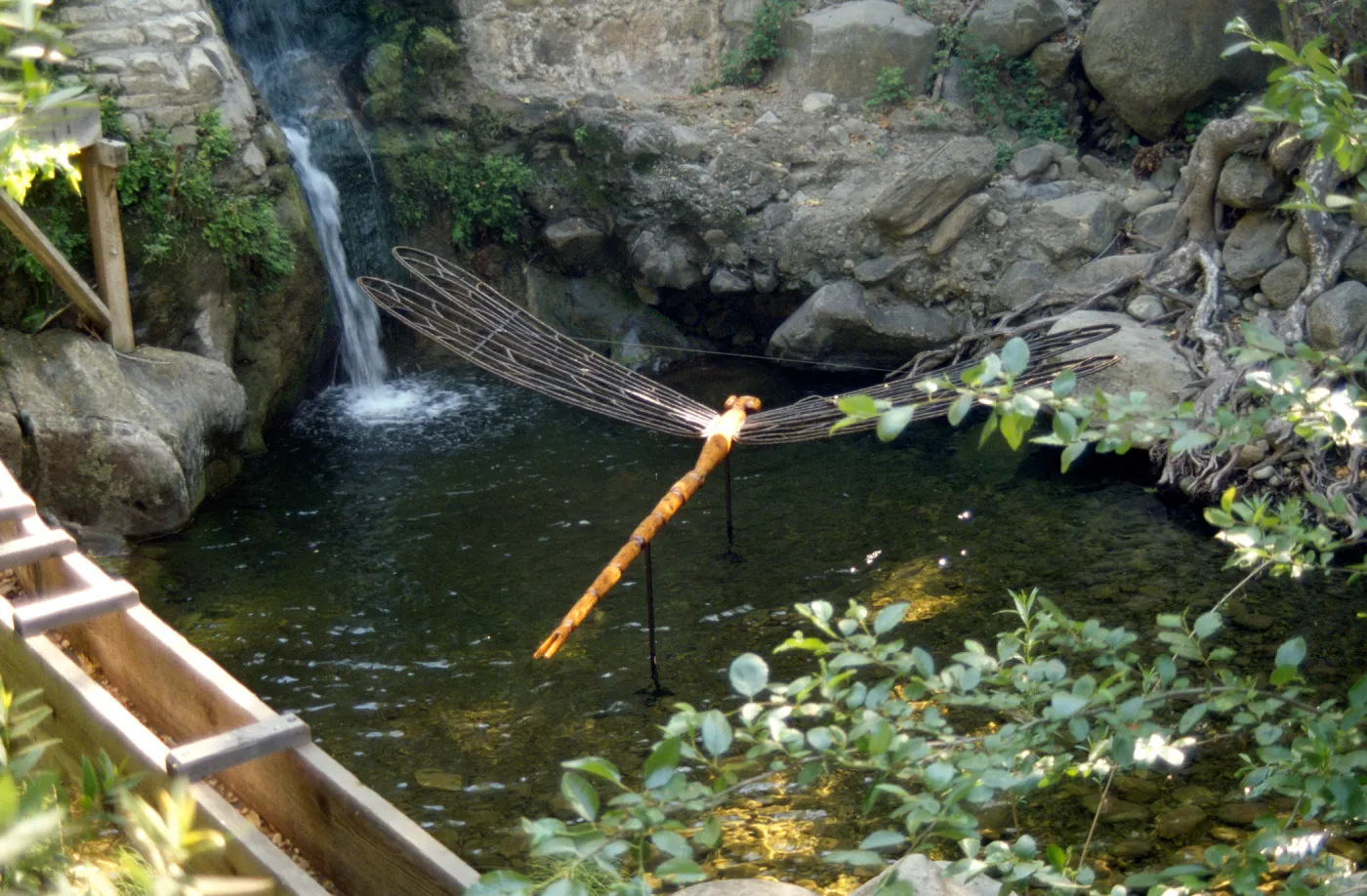 Big Bugs, damselfly in the pool beneath the Mission Dam
