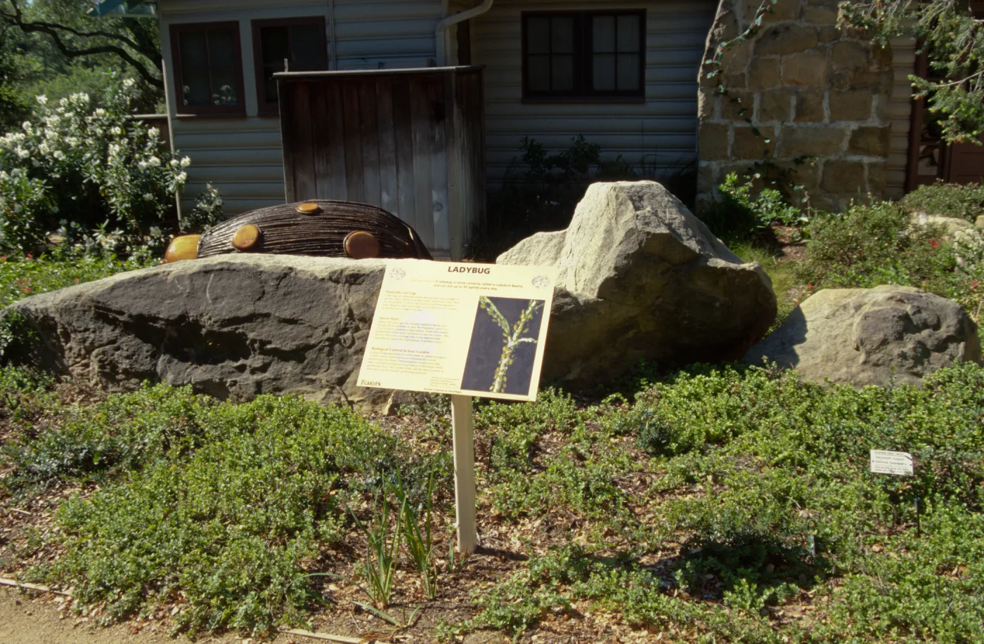 Big Bugs, giant Ladybug and interpretive exhibit in front of the Cottage