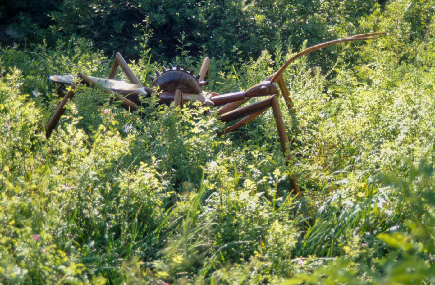 Big Bugs, Assassin bug