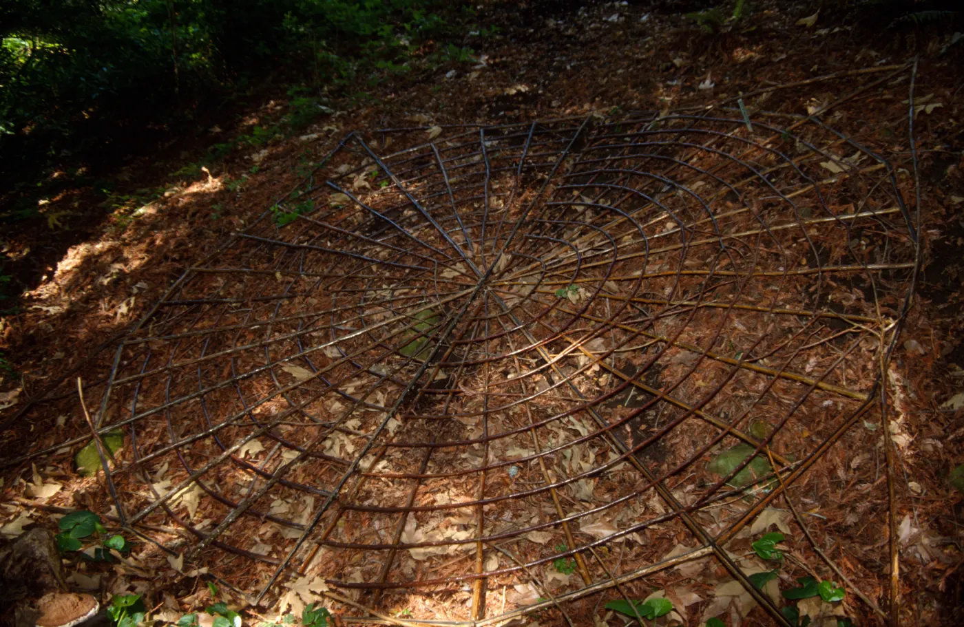 Big Bugs, Spider Installation