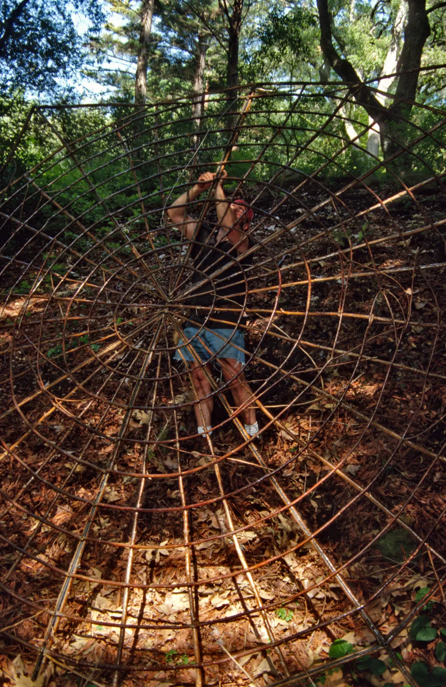Big Bugs Spider Installation