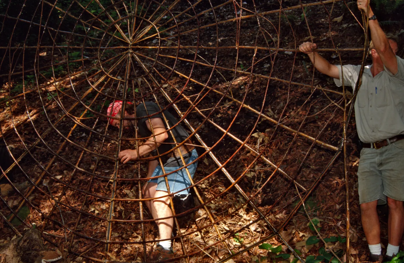 Big Bugs Spider Installation