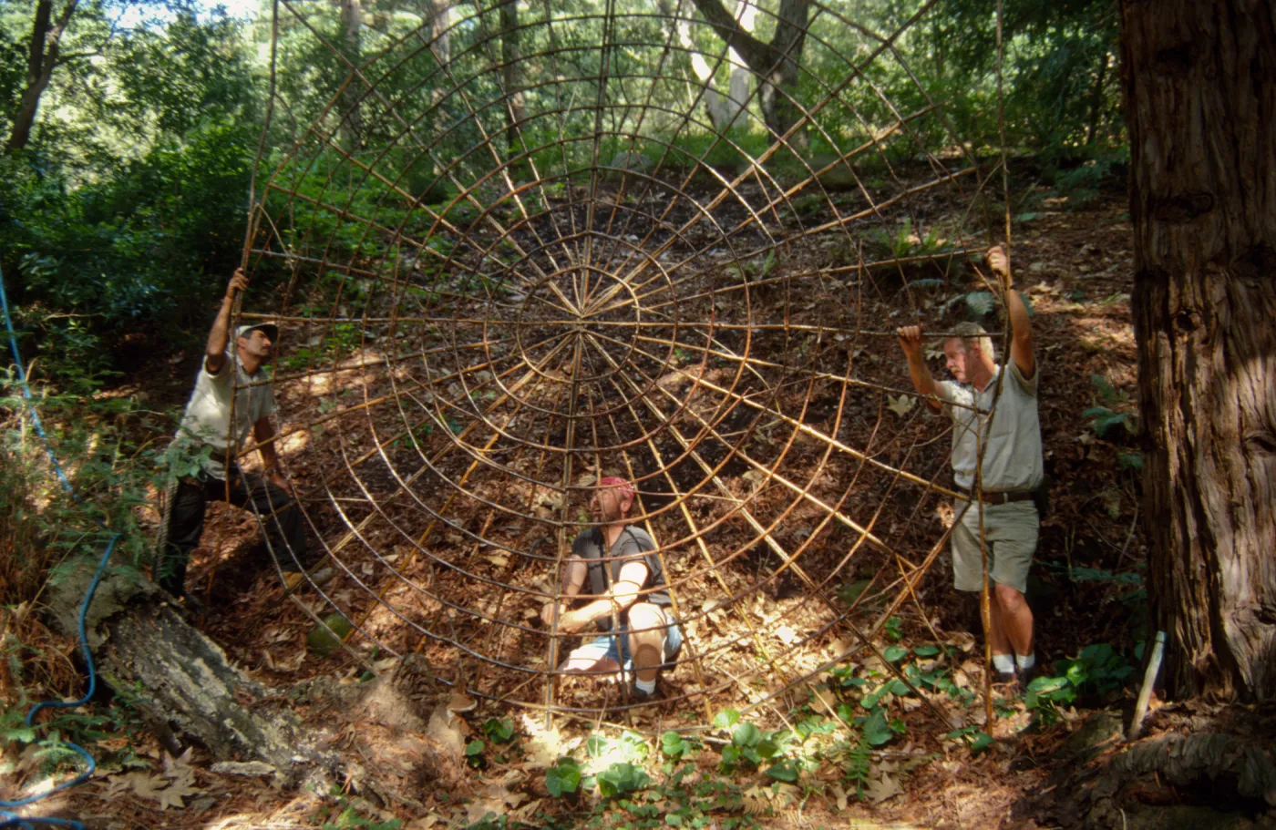 Big Bugs Spider Installation