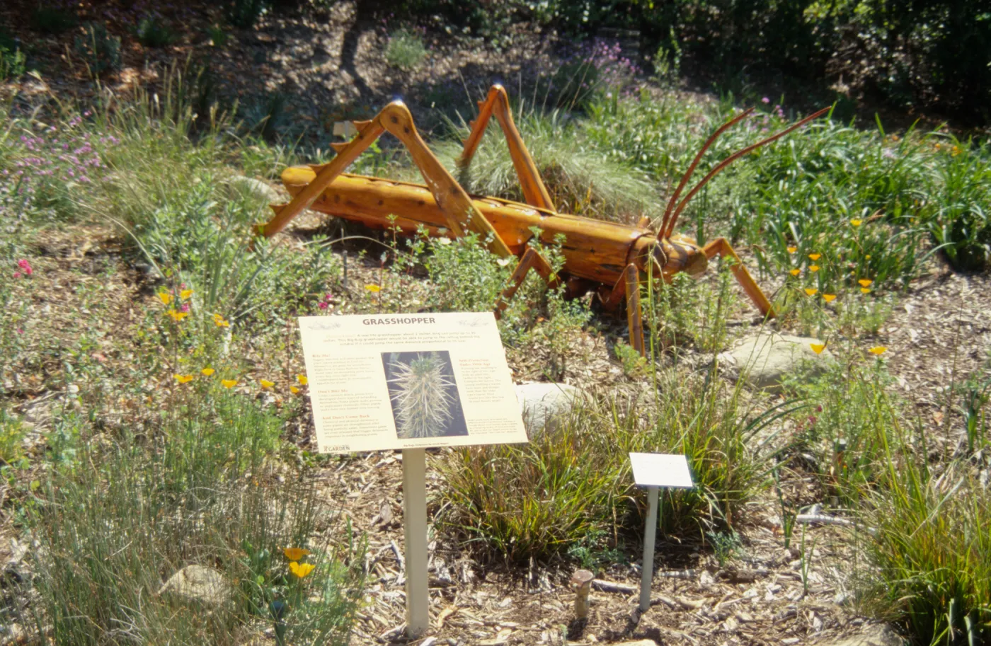Big Bugs Grasshopper installation