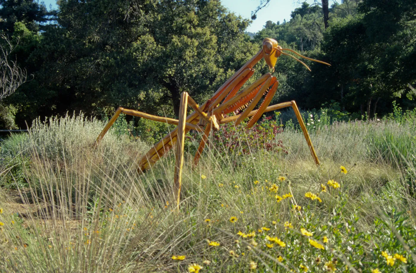 Big Bugs Praying Mantis installation