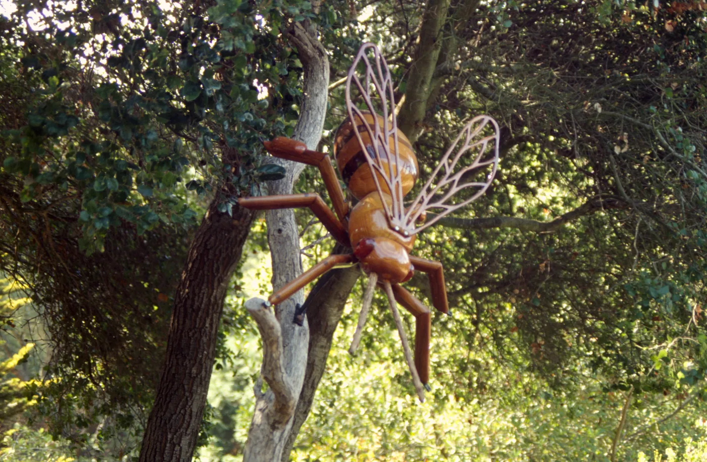 Big Bugs Honey Bee installation
