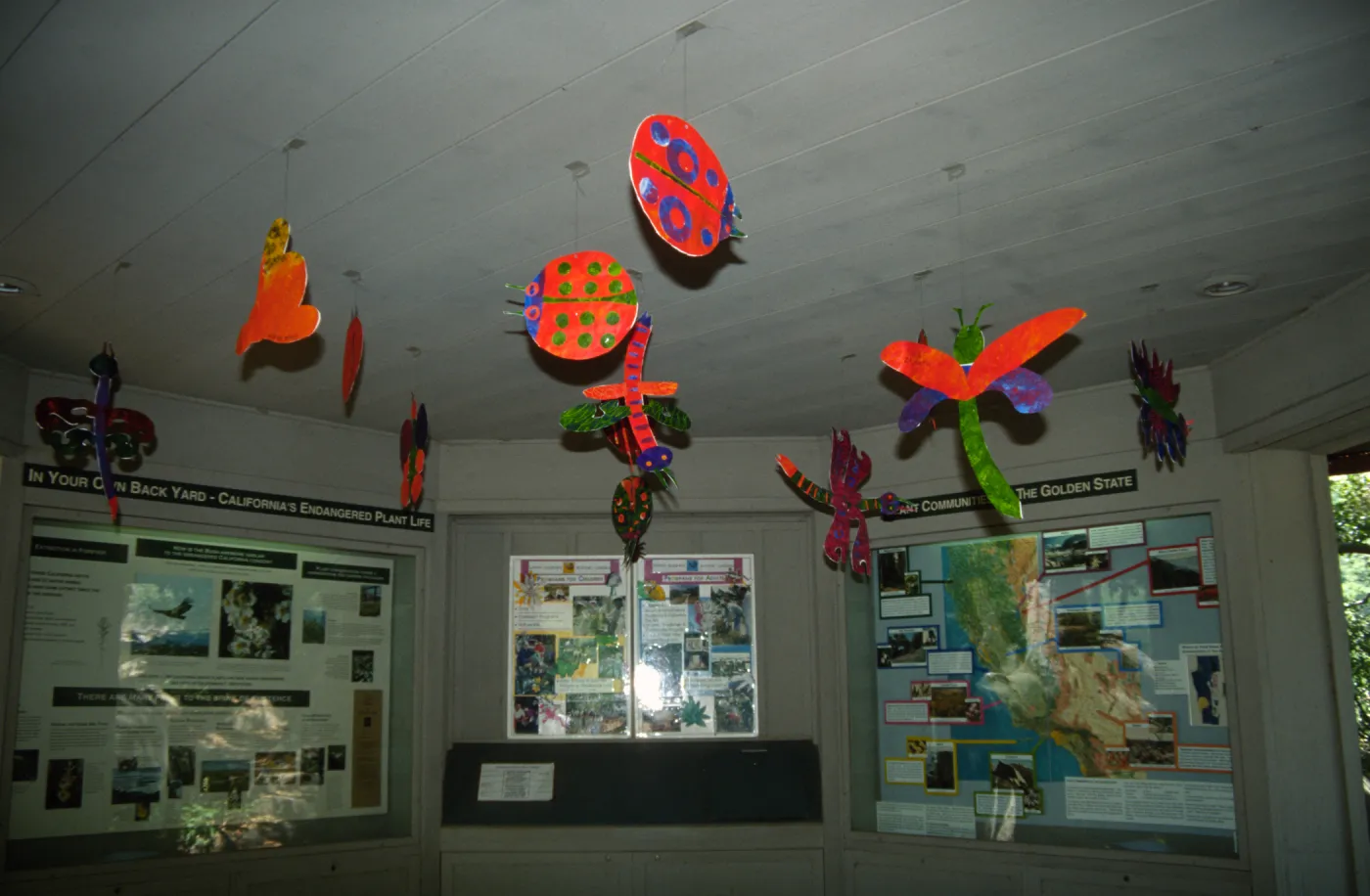 Big Bugs in Information Kiosk