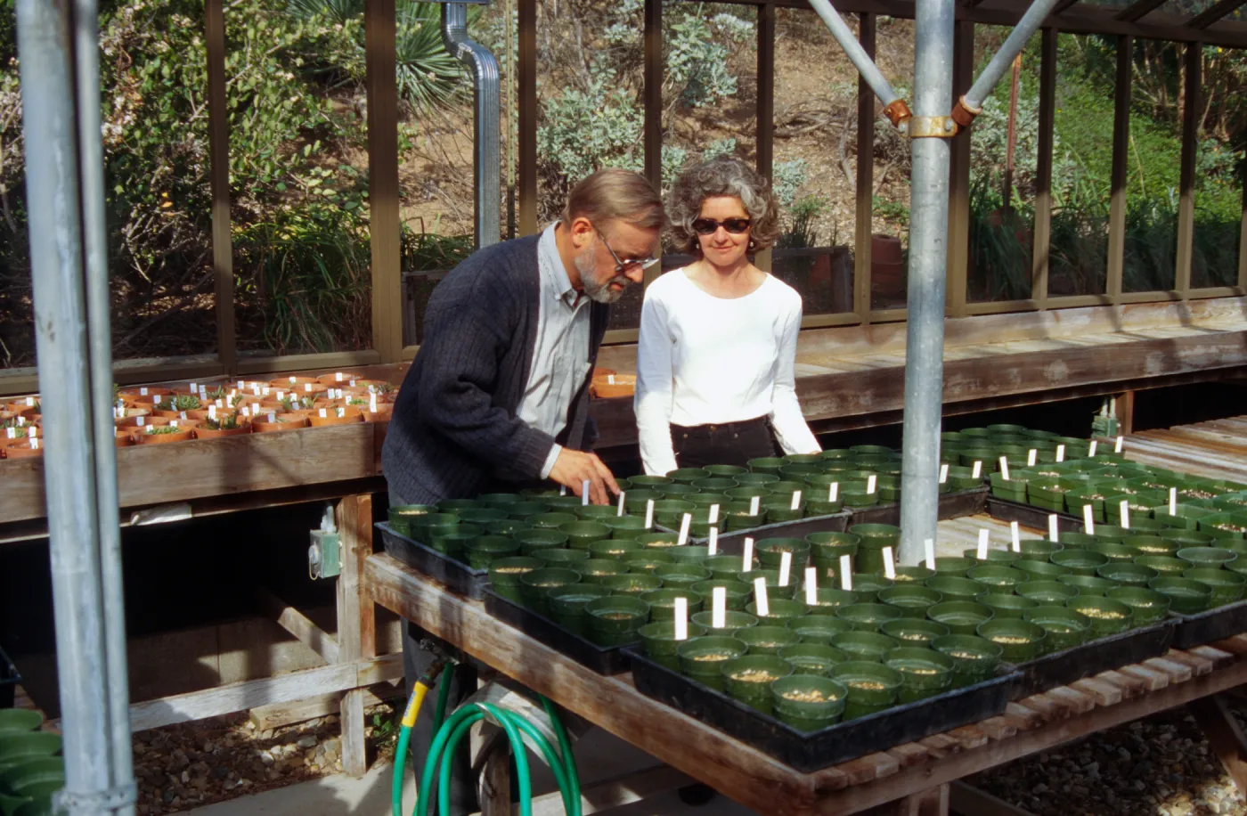 Conservation Collection. Dieter Wilken Caroline Cooper