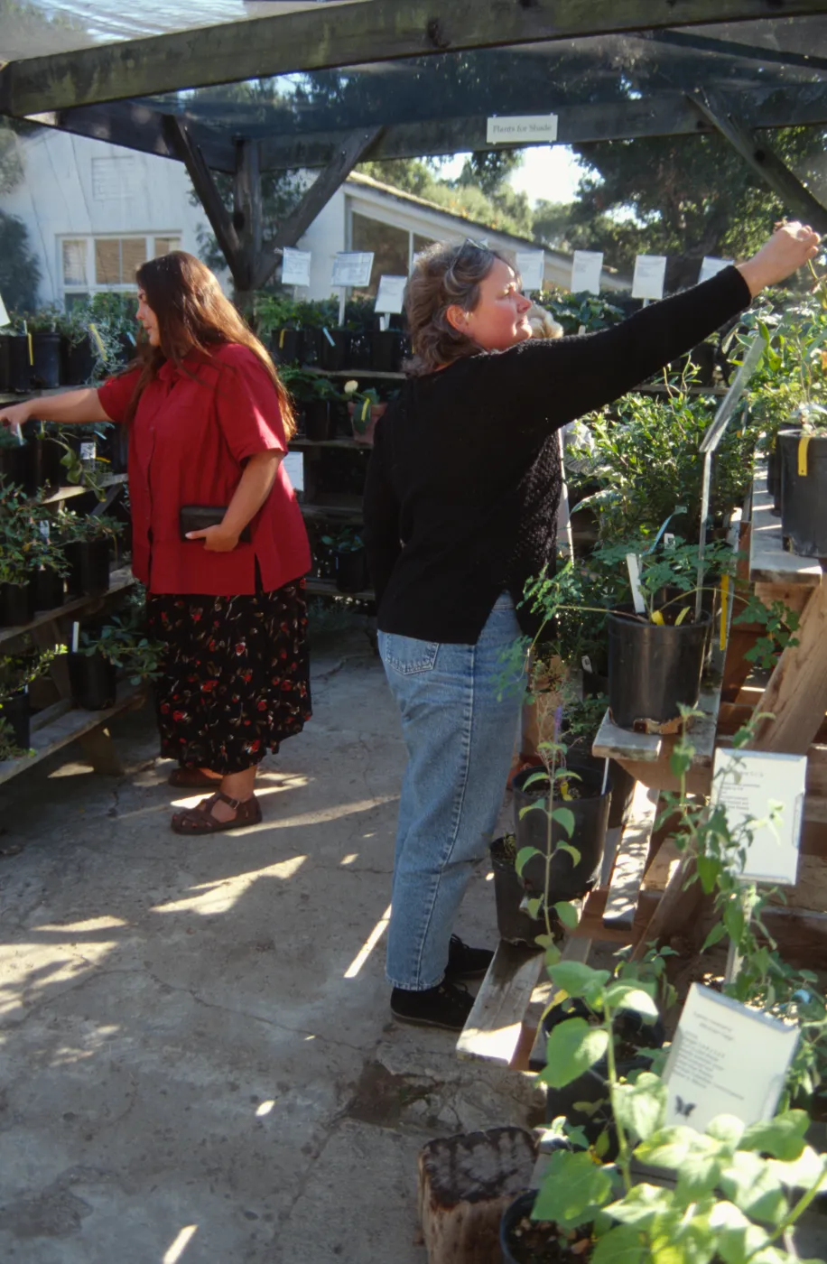 Garden Growers Fall Plant Sale