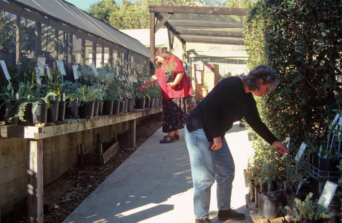 Garden Growers Fall Plant Sale