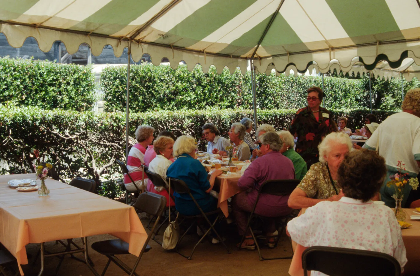 Volunteer Luncheon 1993
