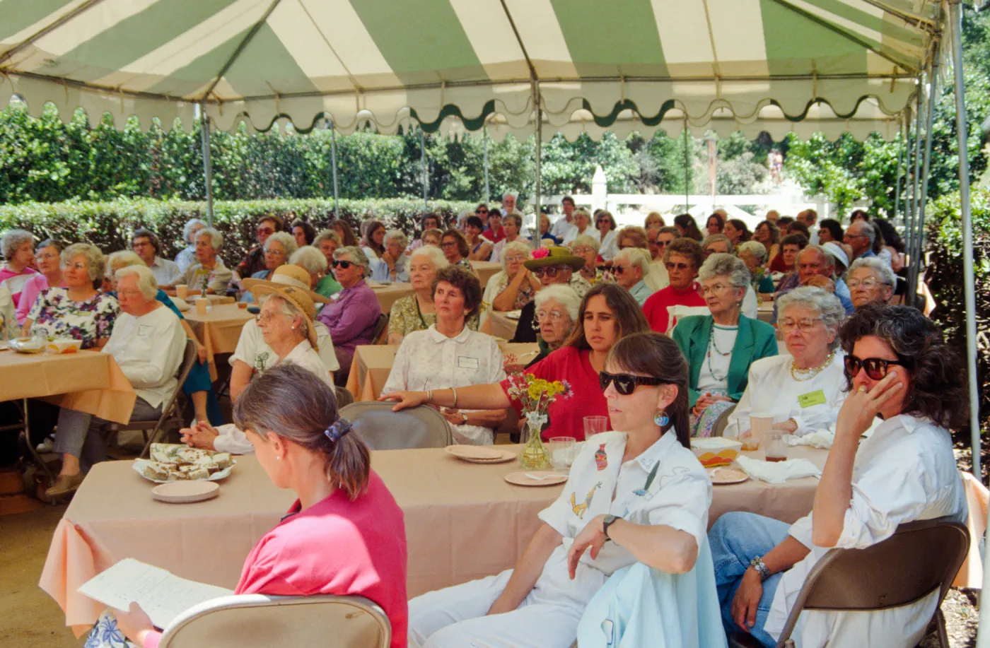 Volunteer Luncheon 1993