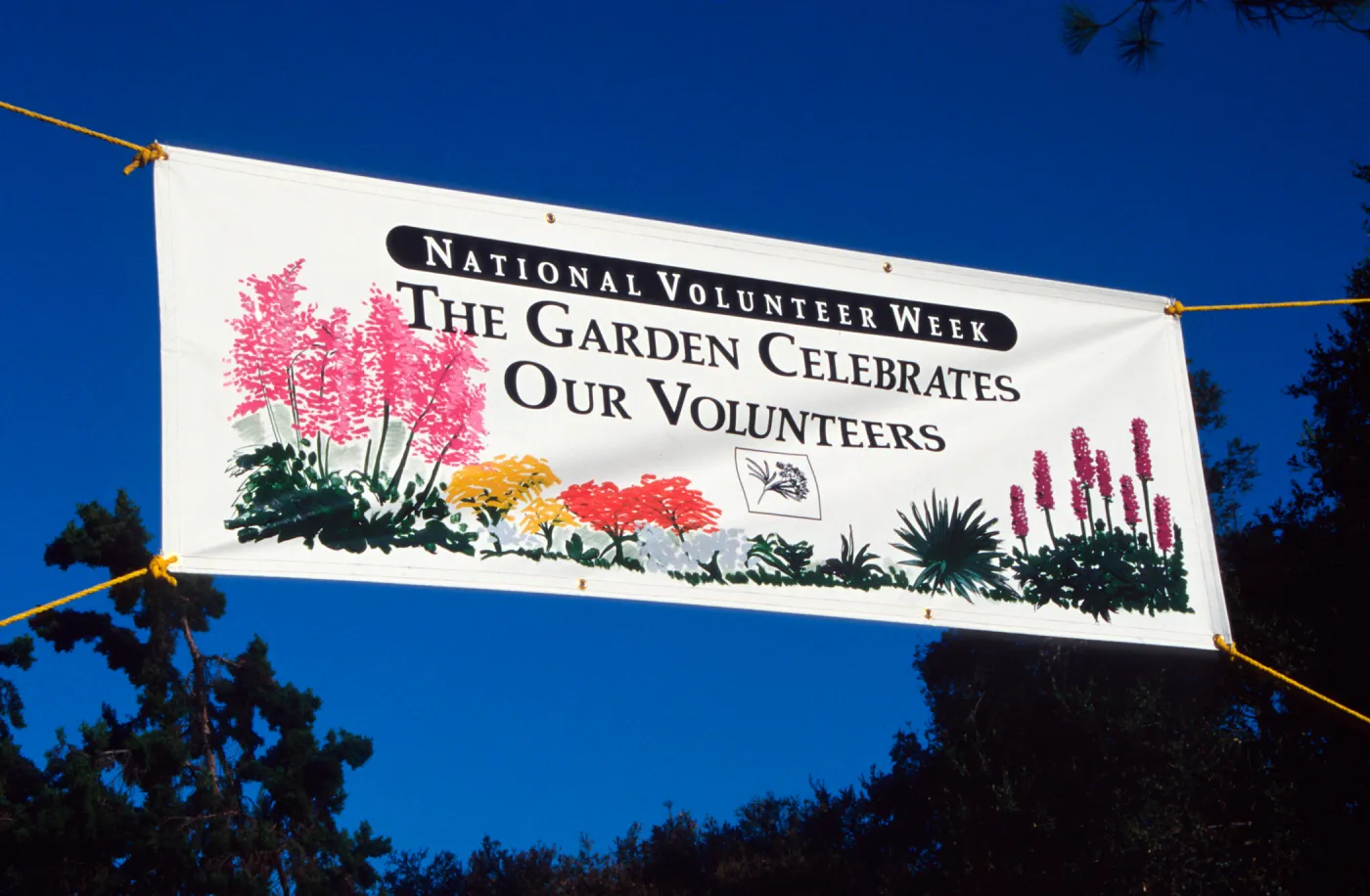Volunteer Luncheon 1994