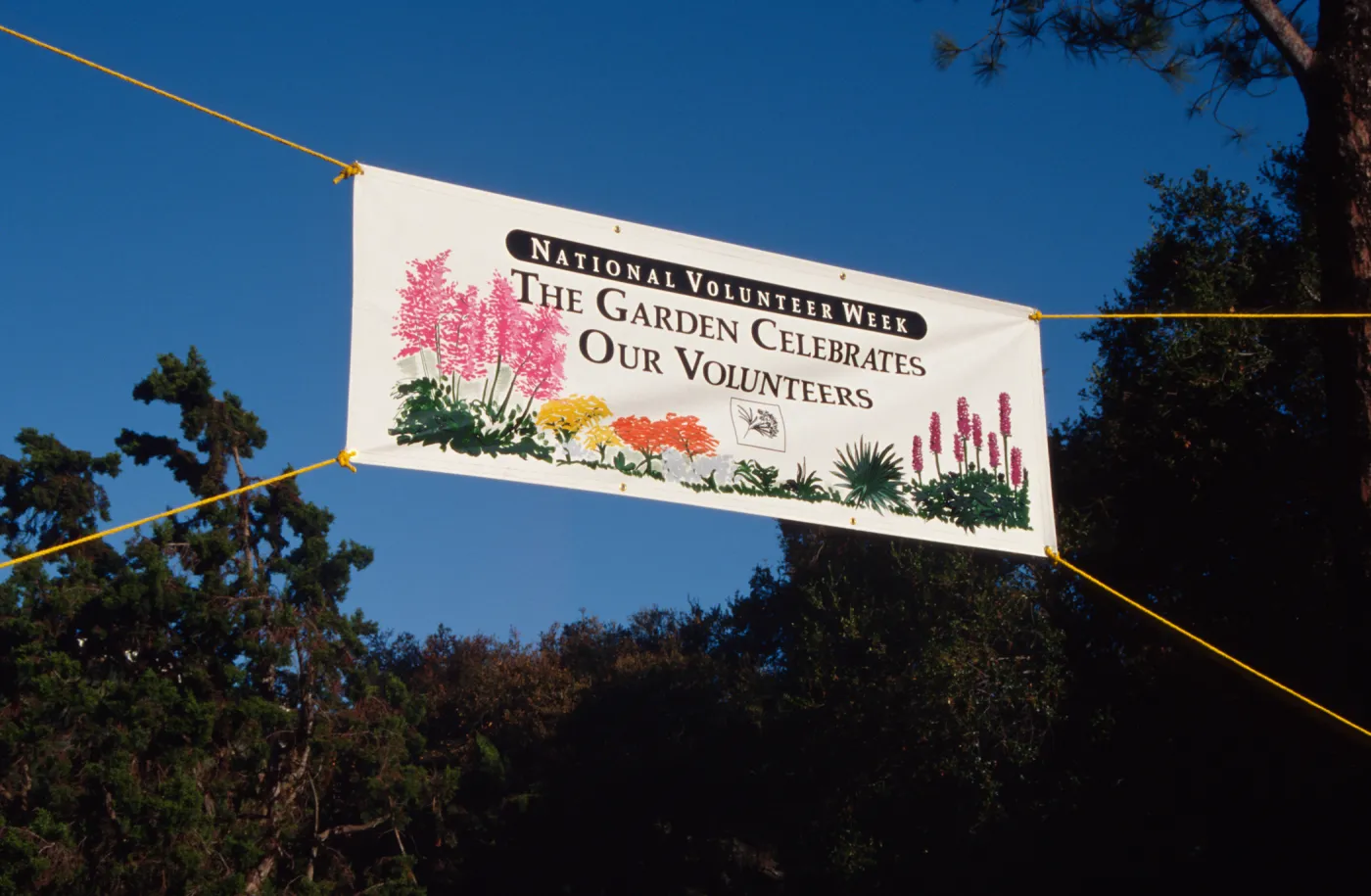 Volunteer Luncheon 1994