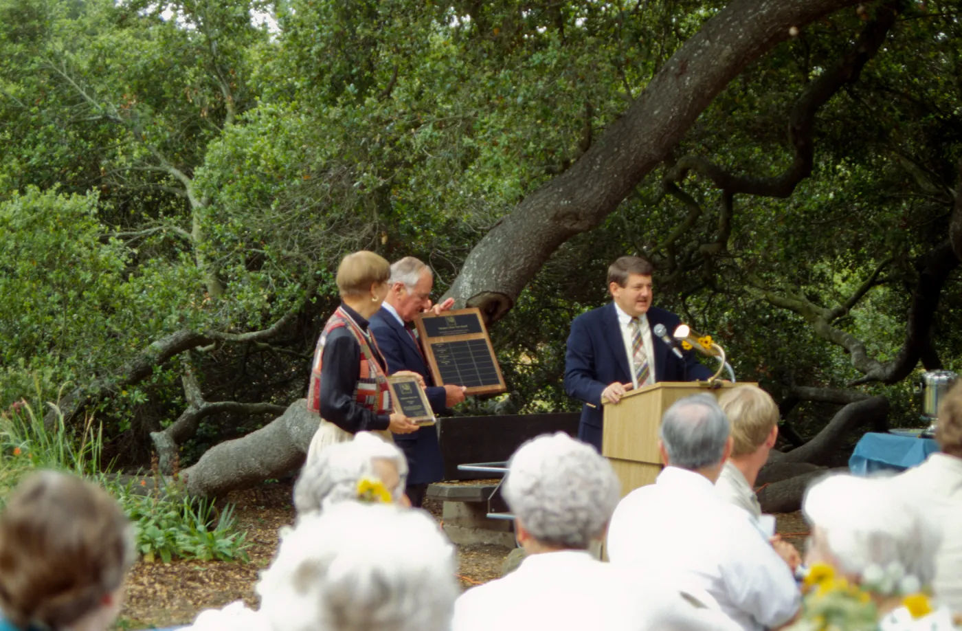Volunteer Luncheon 1994