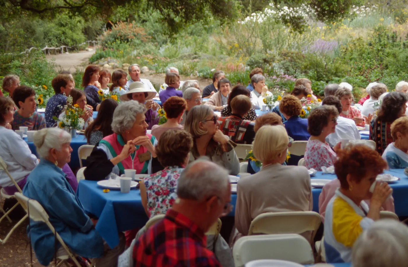 Volunteer Luncheon 1994