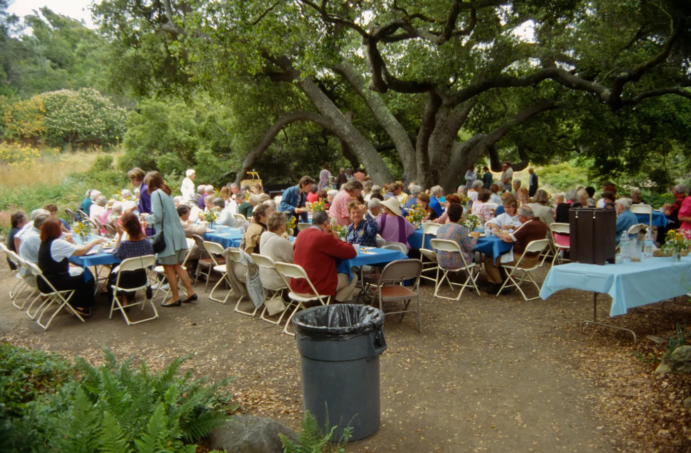 Volunteer Luncheon 1994