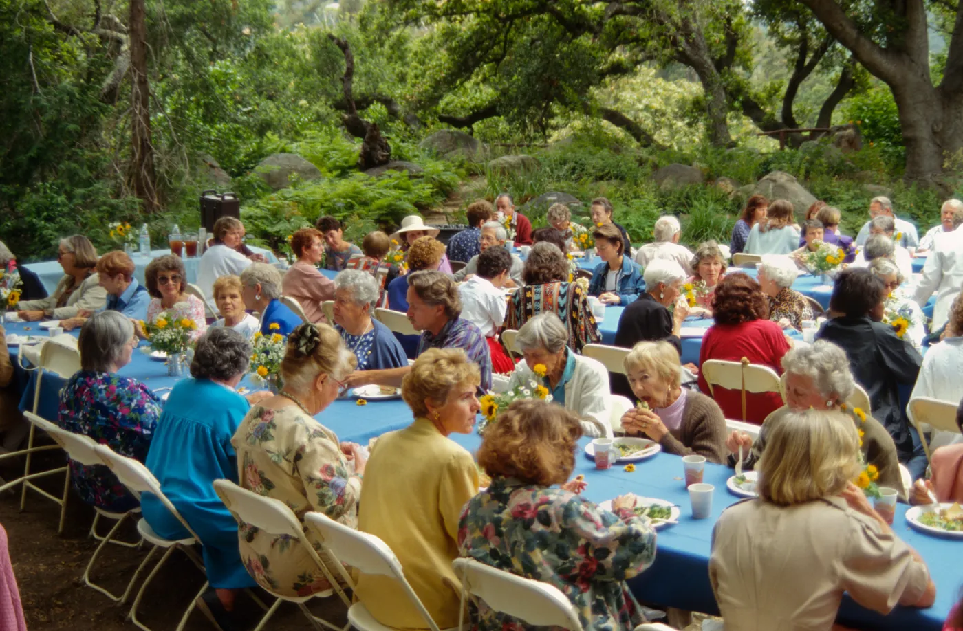 Volunteer Luncheon 1994