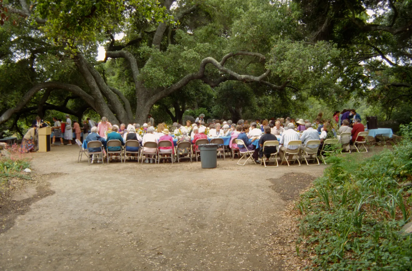 Volunteer Luncheon 1994