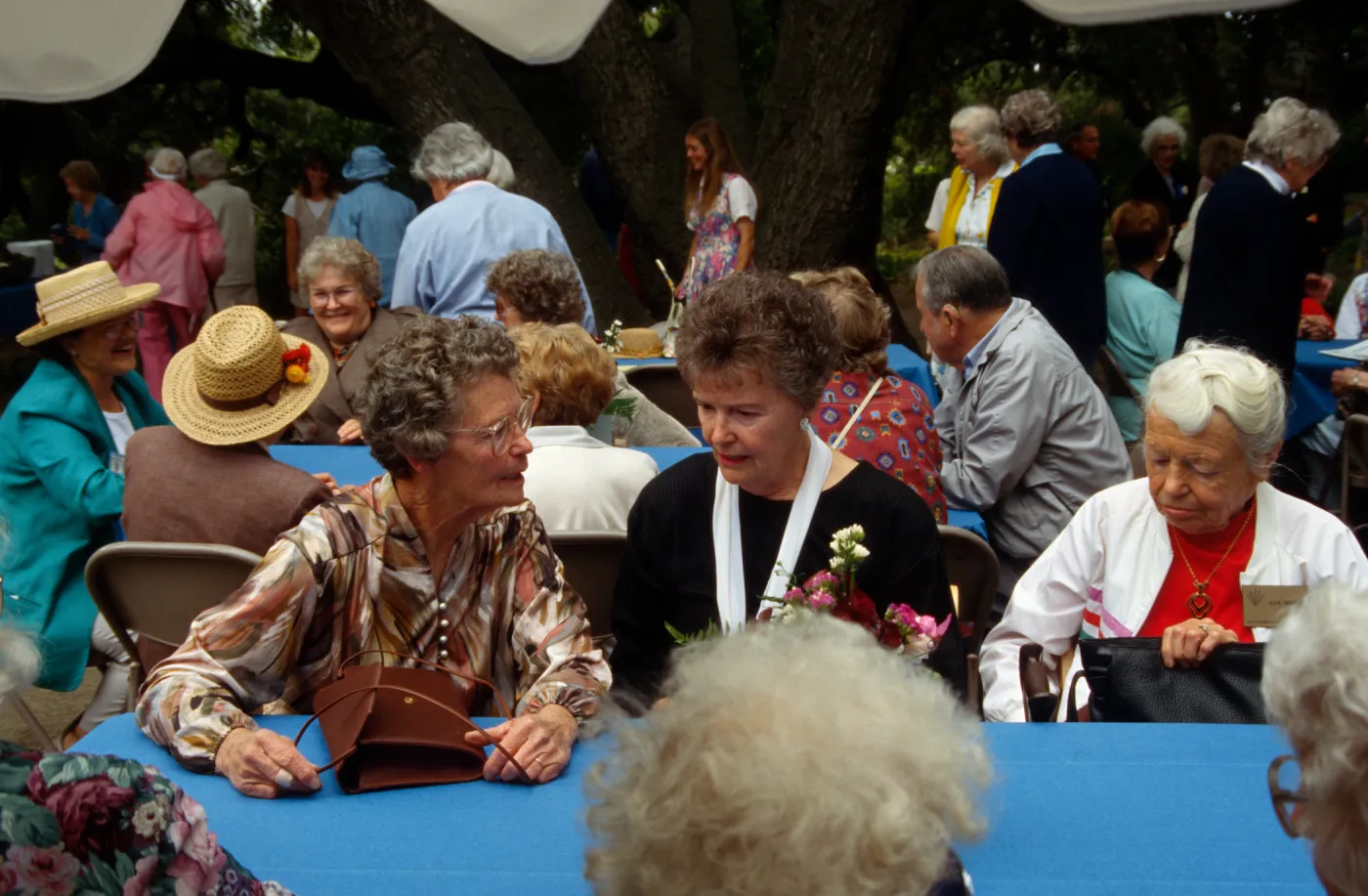 Volunteer Luncheon 1995