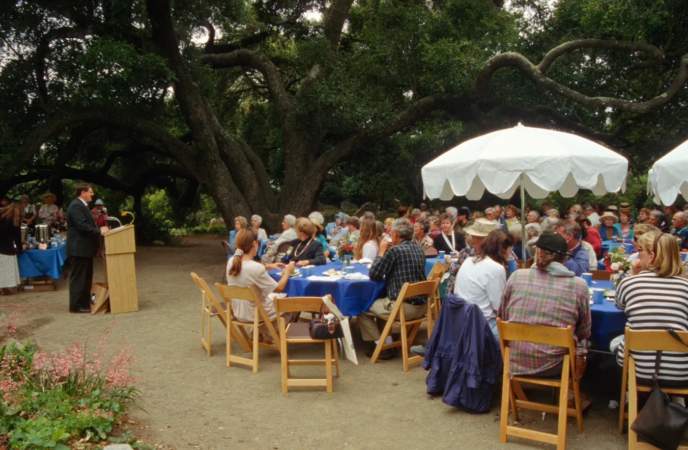 Volunteer Luncheon 1995