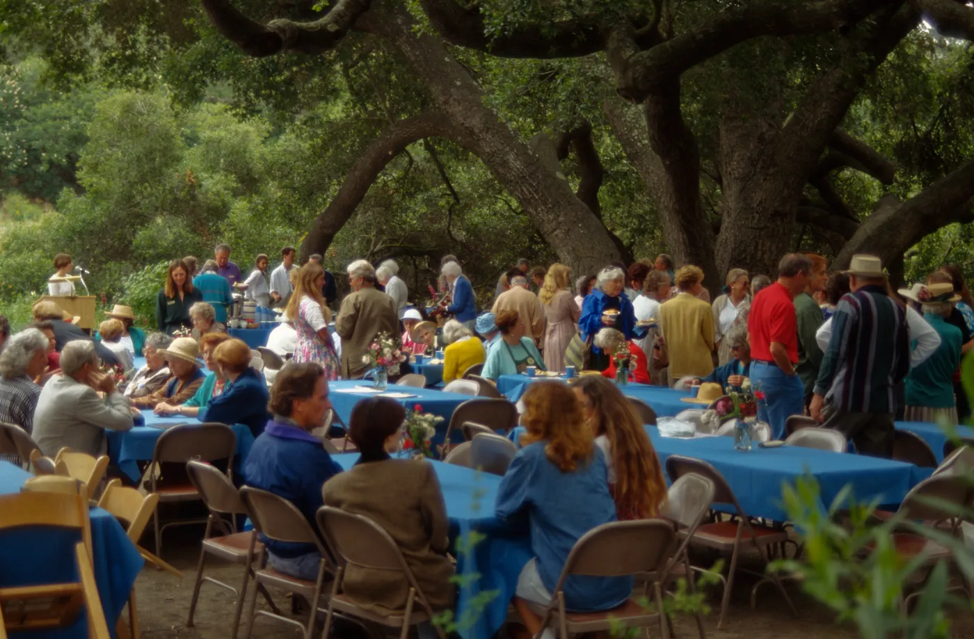 Volunteer Luncheon 1995