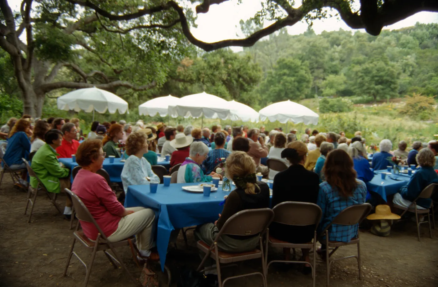Volunteer Luncheon 1995