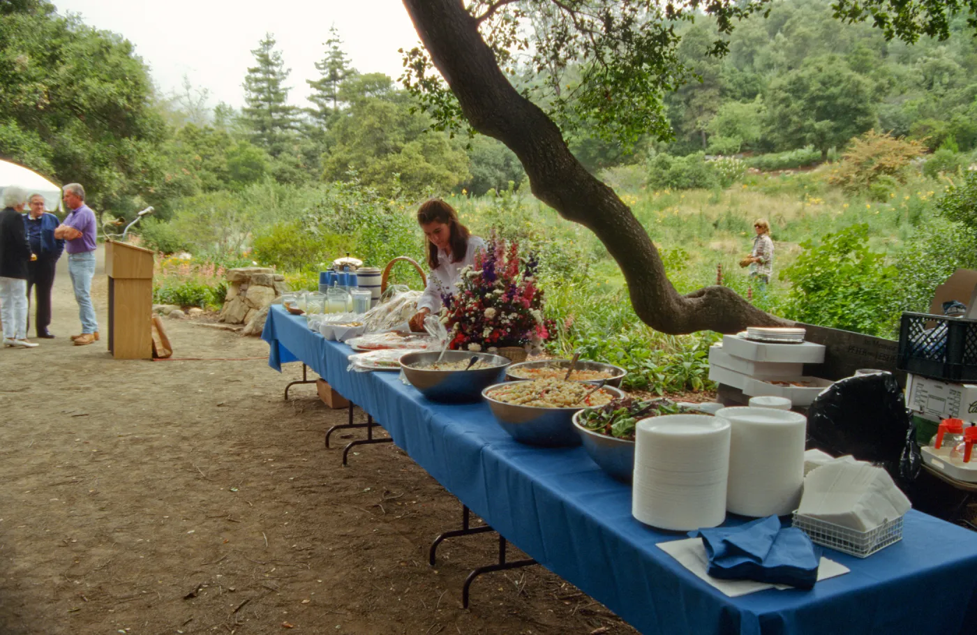 Volunteer Luncheon 1995