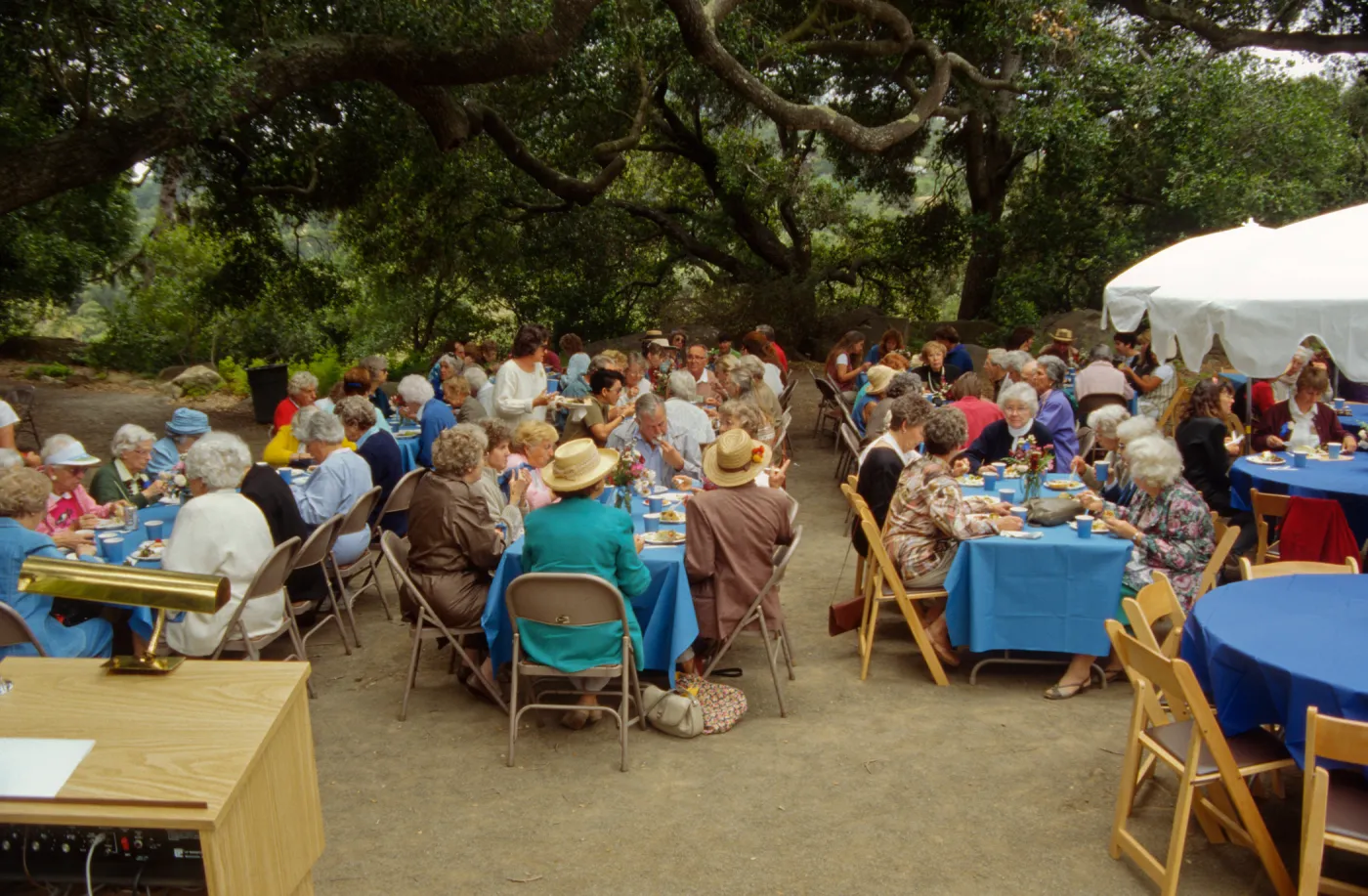 Volunteer Luncheon 1995