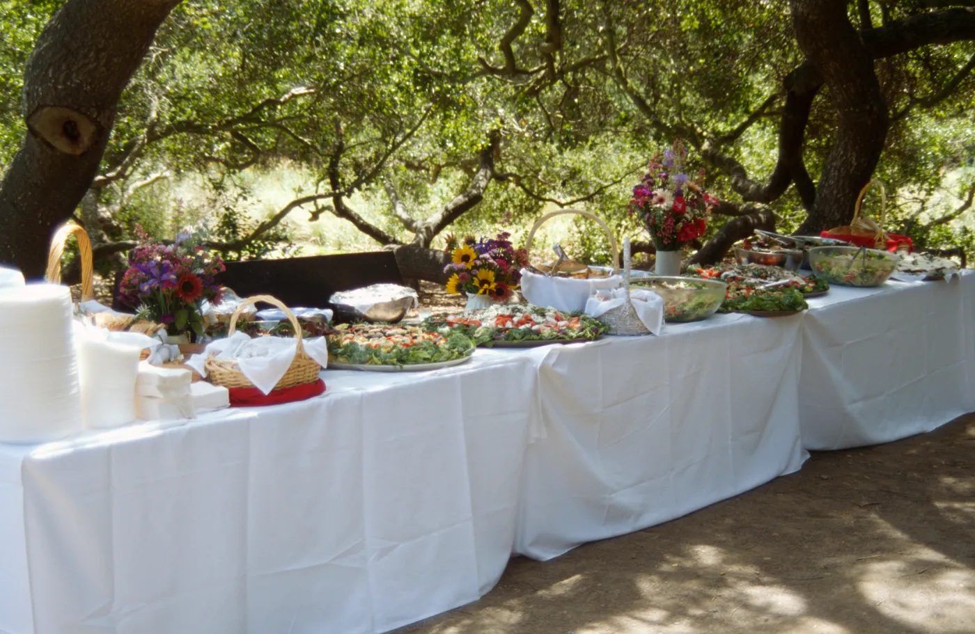 Volunteer Luncheon 1996
