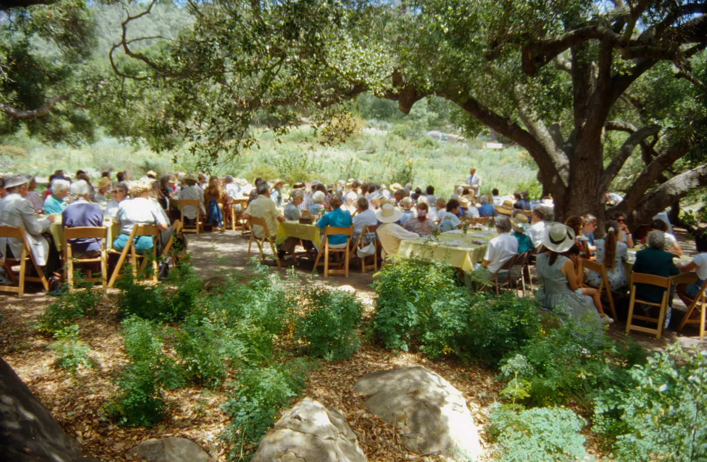 Volunteer Luncheon 1996
