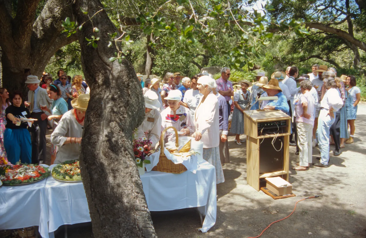 Volunteer Luncheon 1996