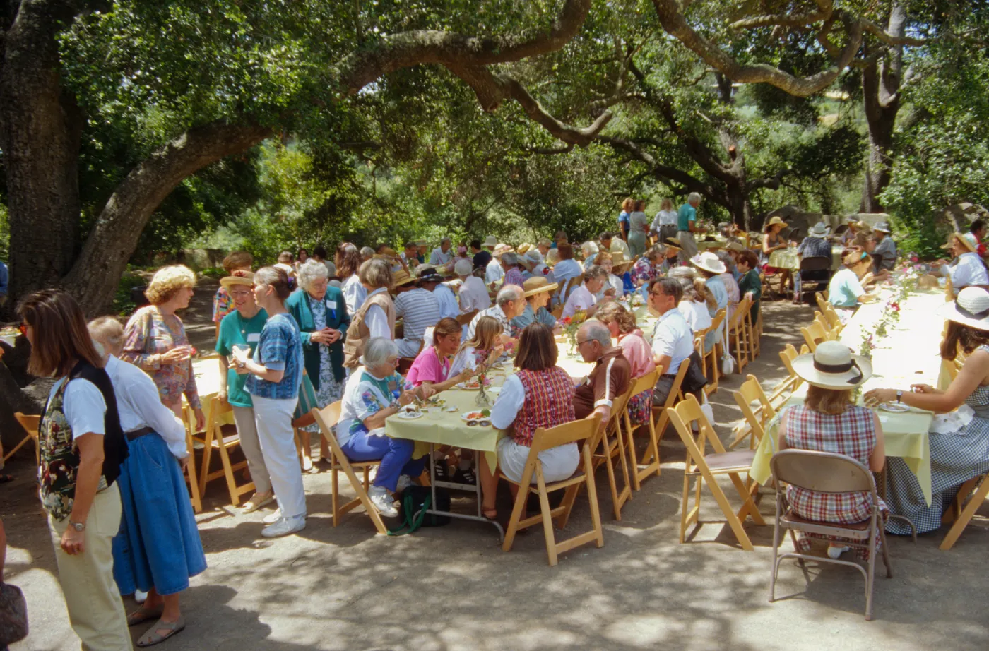 Volunteer Luncheon 1996