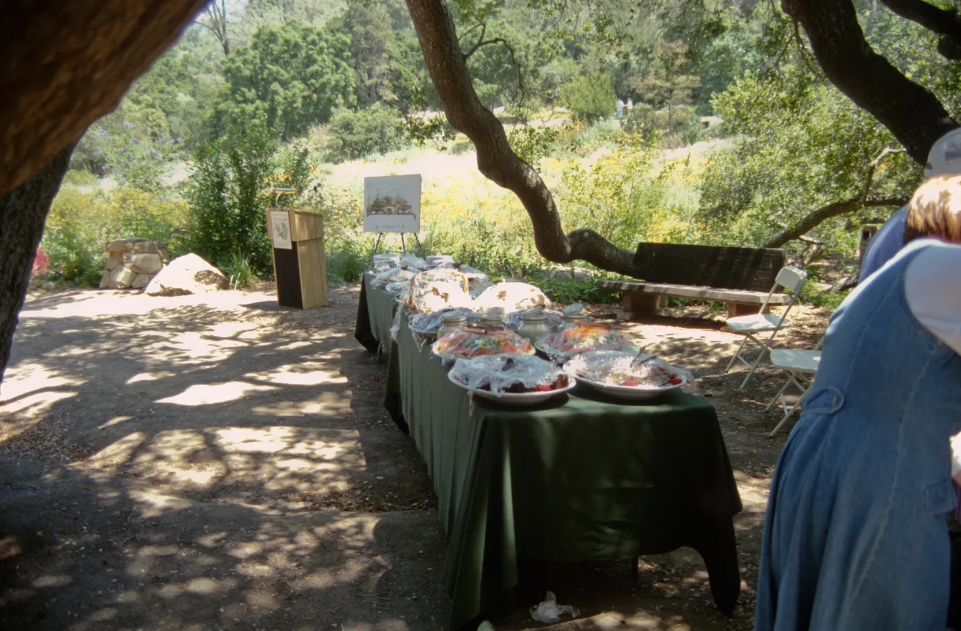 Volunteer Luncheon 1998