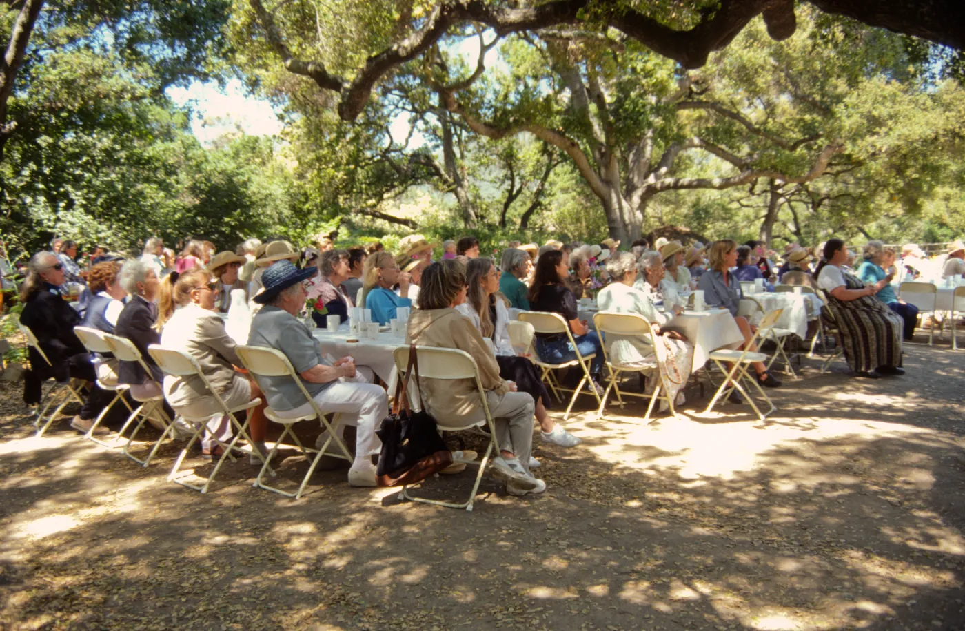 Volunteer Luncheon 2000