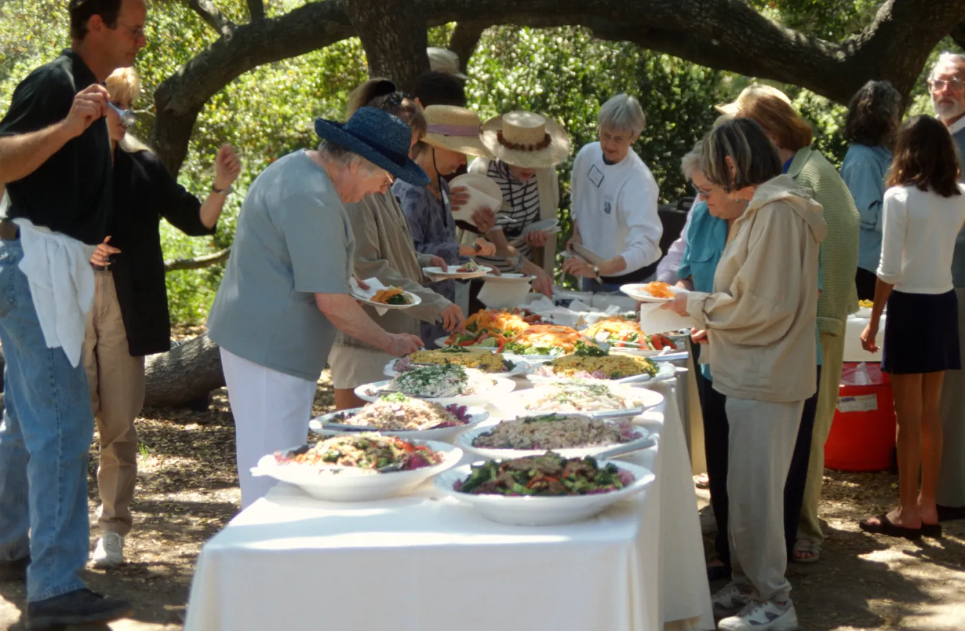 Volunteer Luncheon 2000