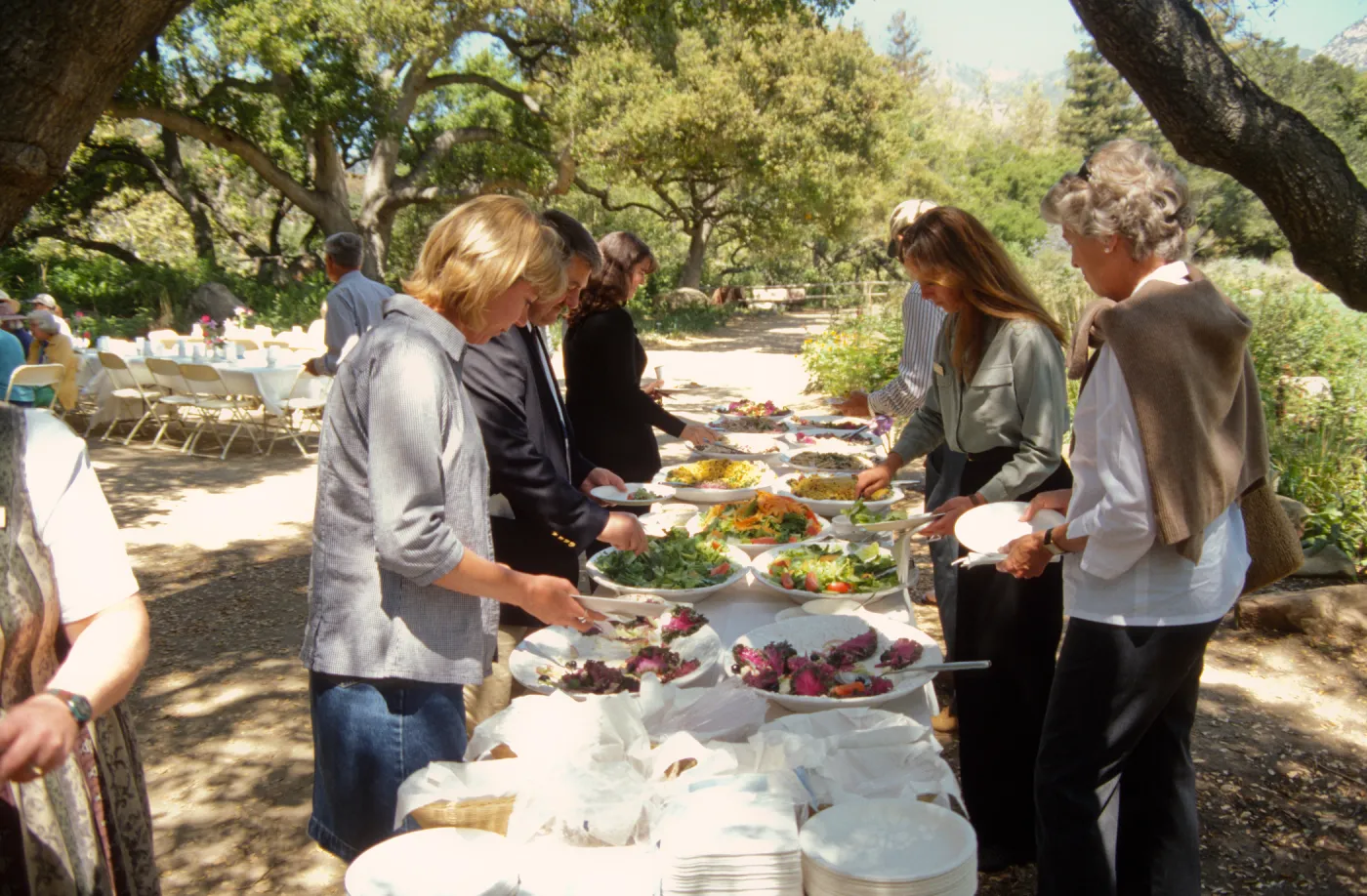 Volunteer Luncheon 2000