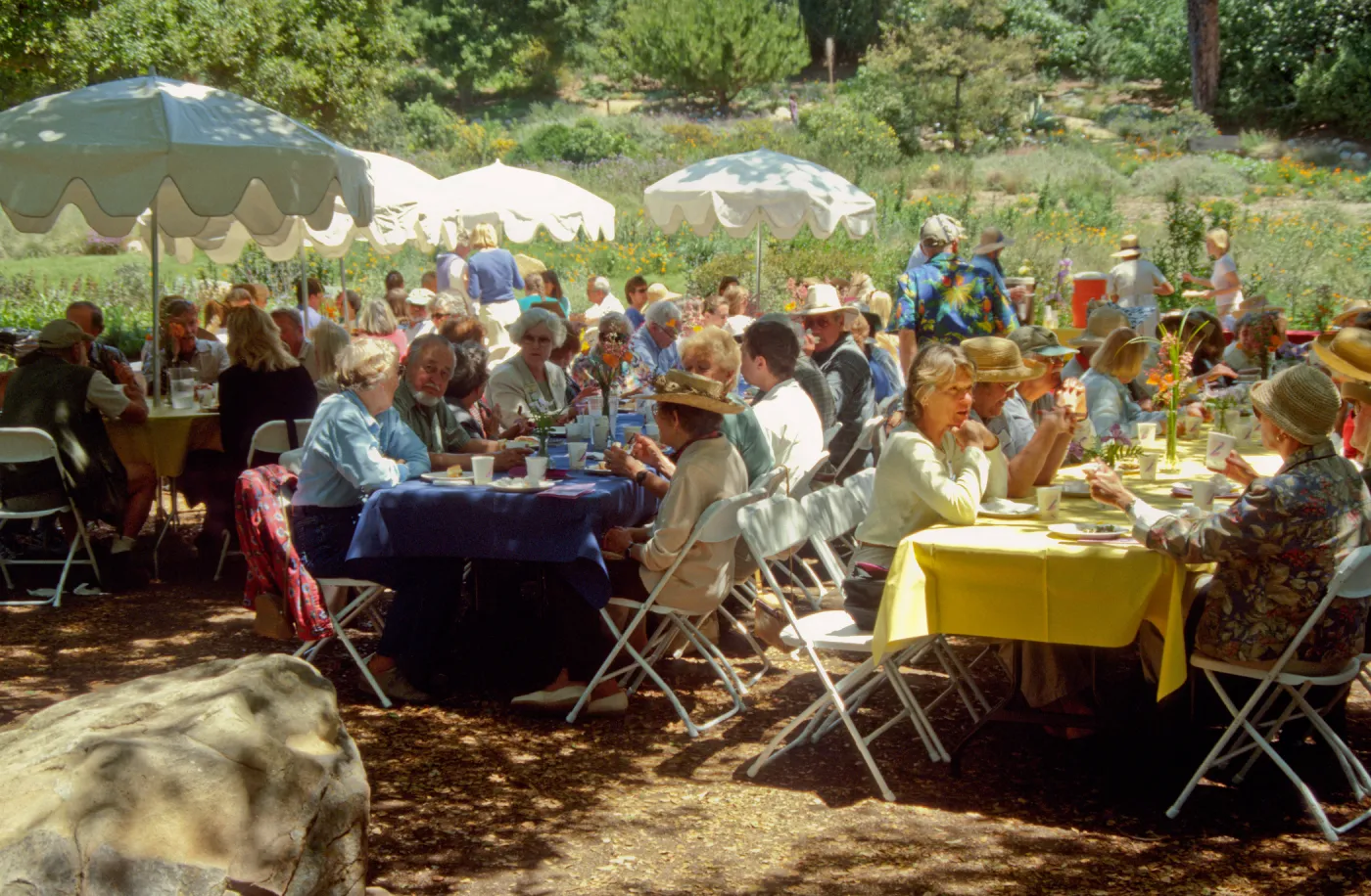 Volunteer Luncheon 2001