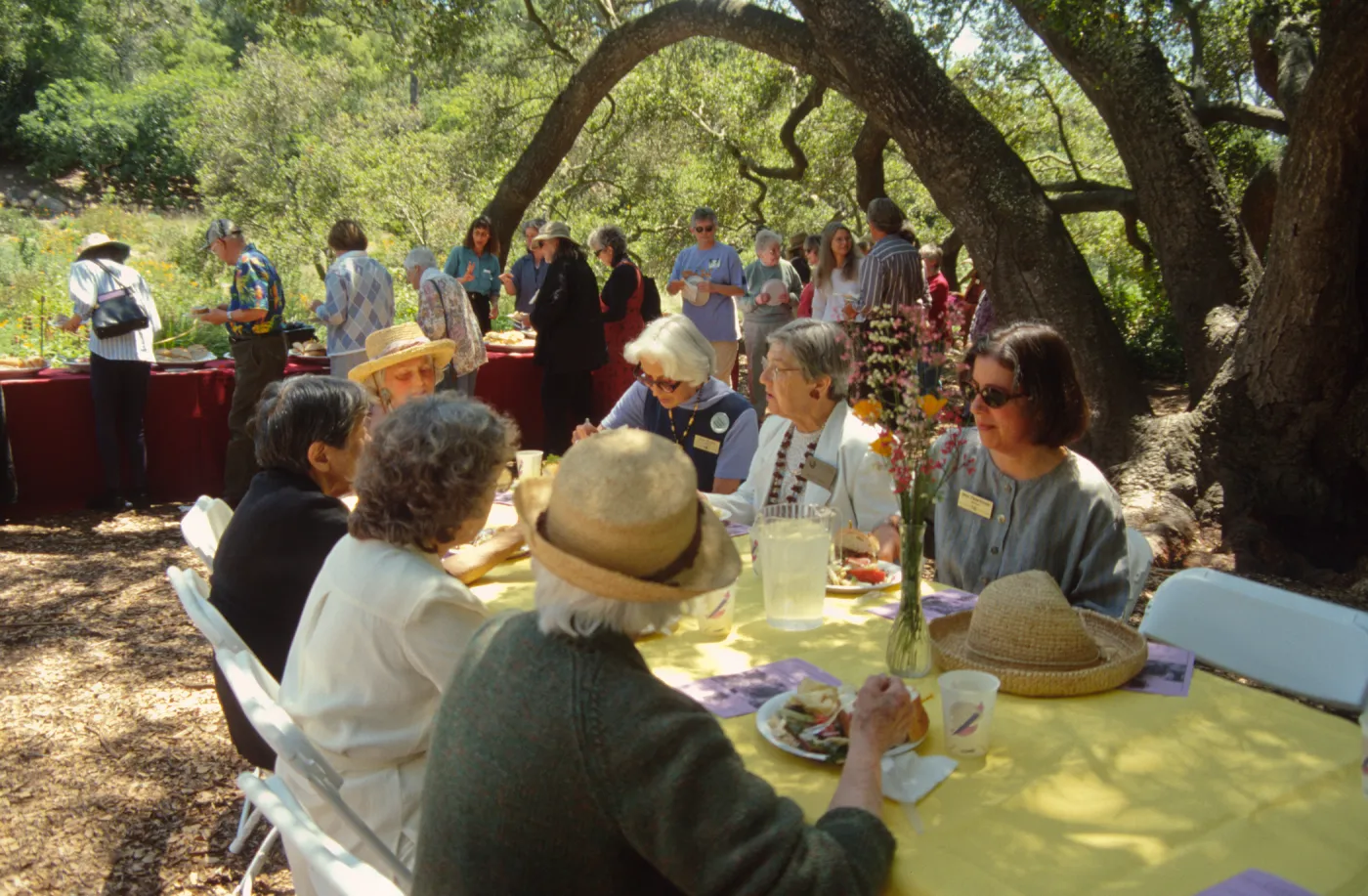 Volunteer Luncheon 2001