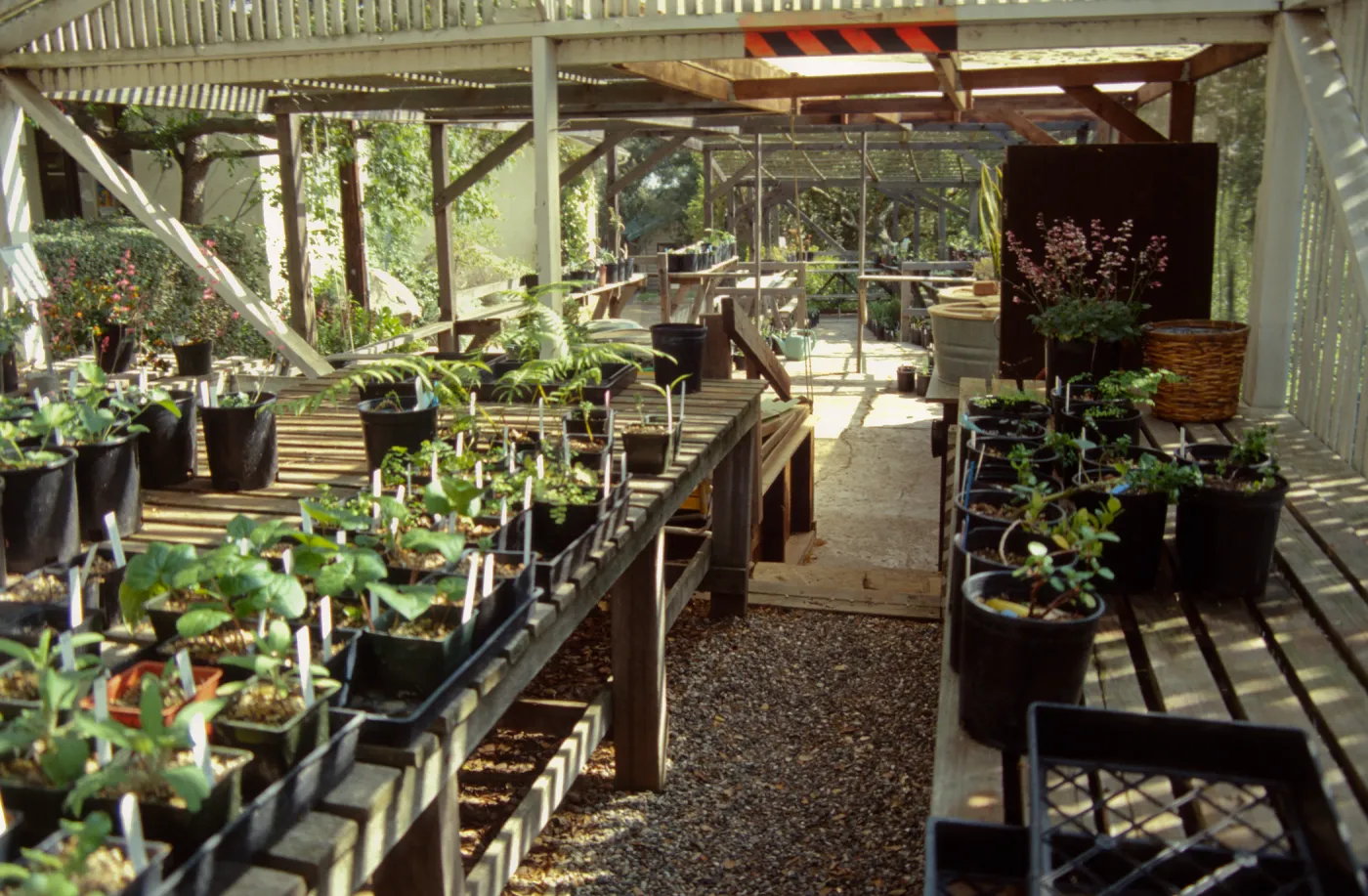 Garden Growers Nursery