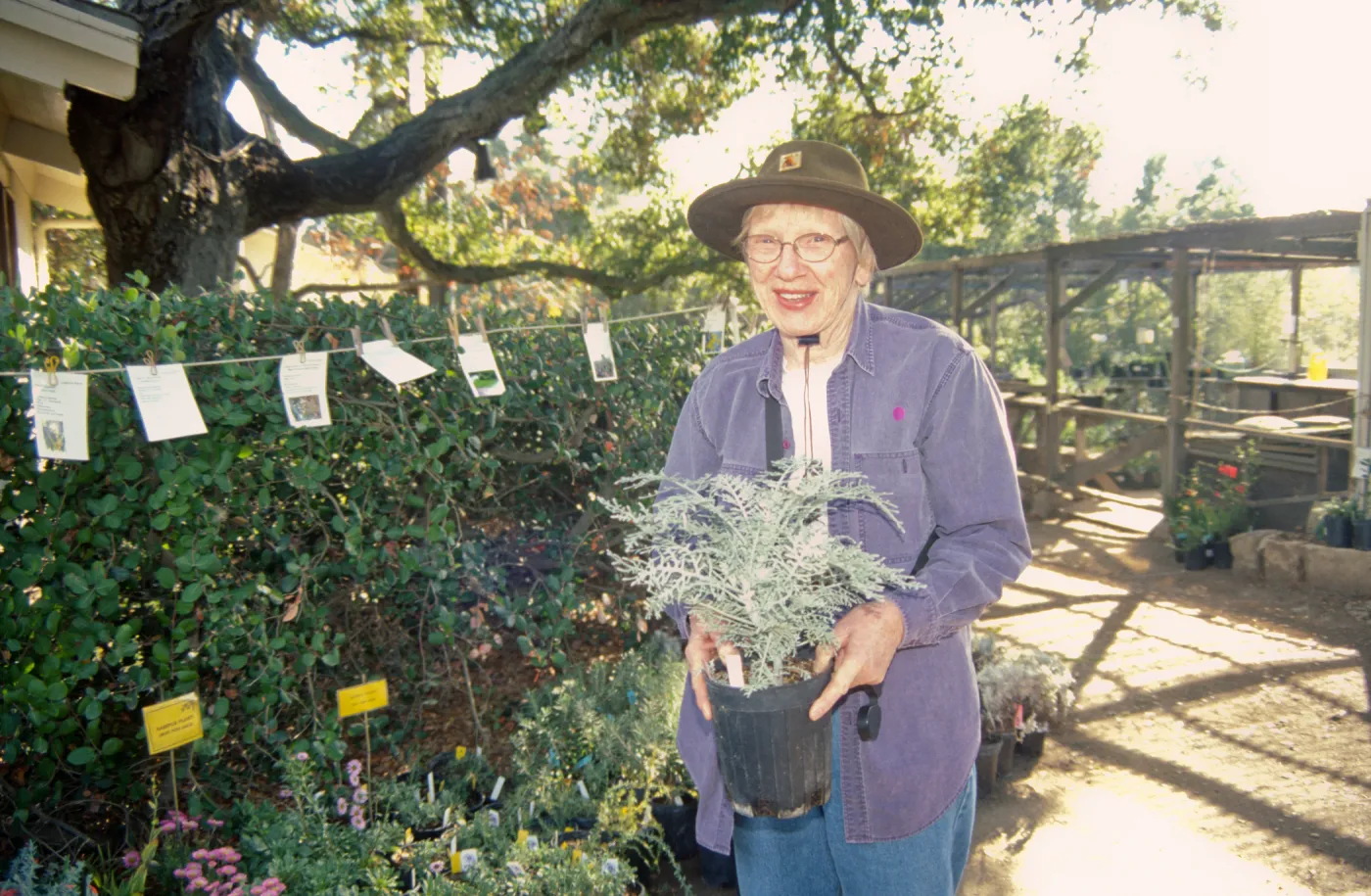 Garden Grower