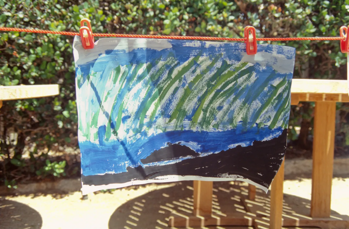 Nature Camp 1999