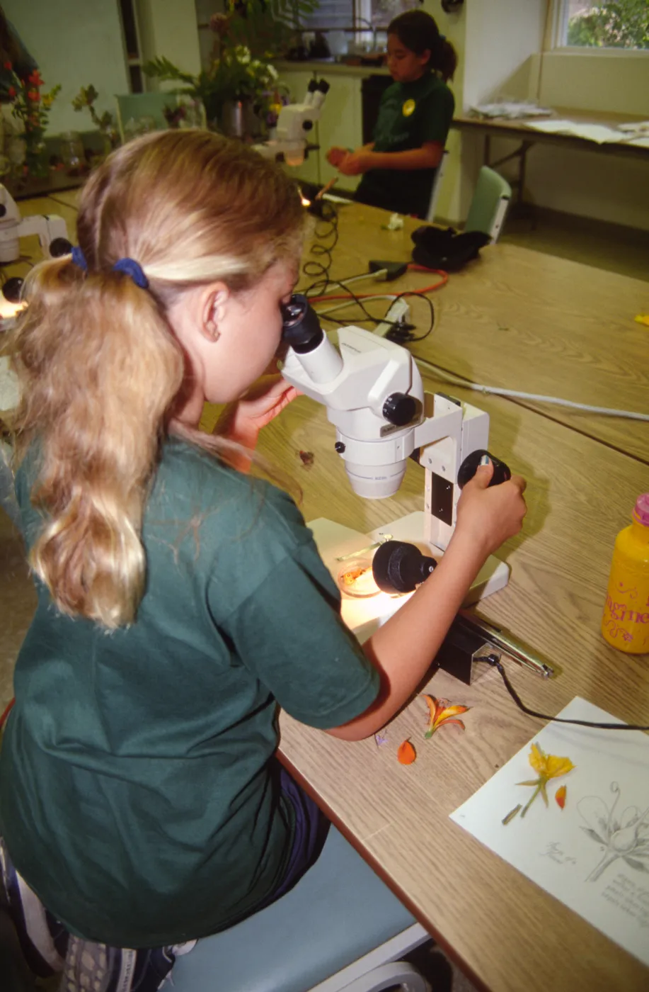 Nature Camp 1999