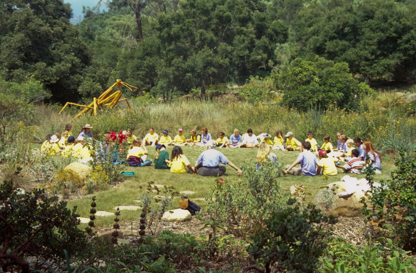 Nature Camp 2000