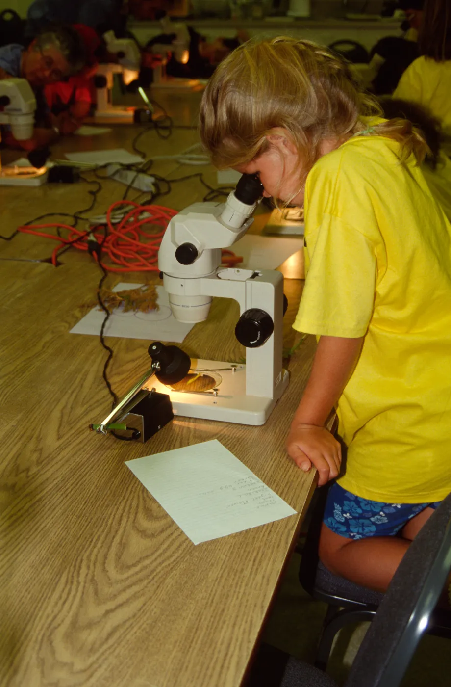 Nature Camp 2000
