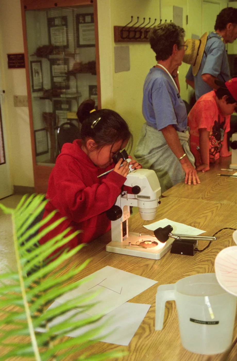 Nature Camp 2000