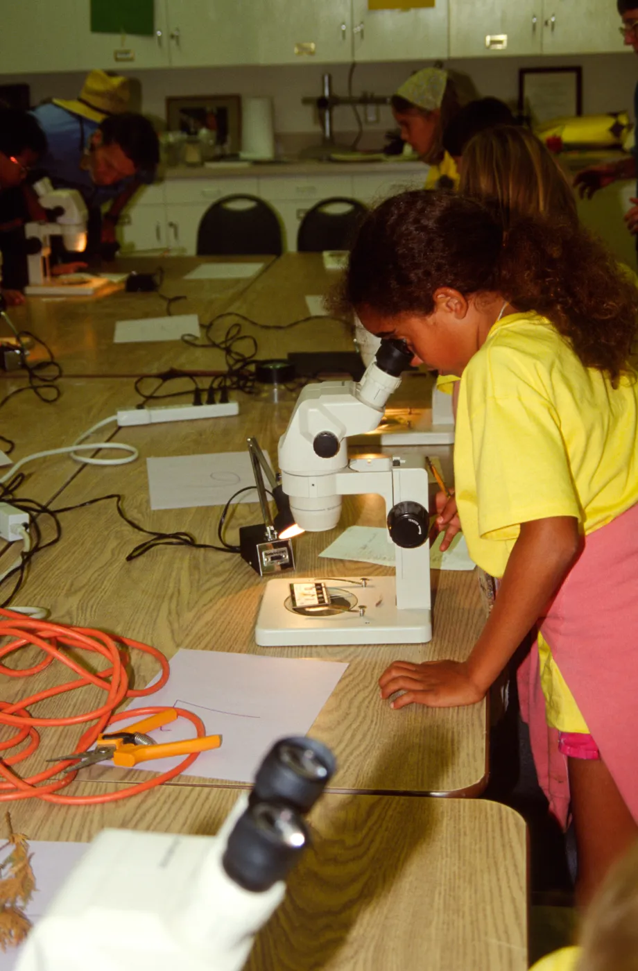 Nature Camp 2000