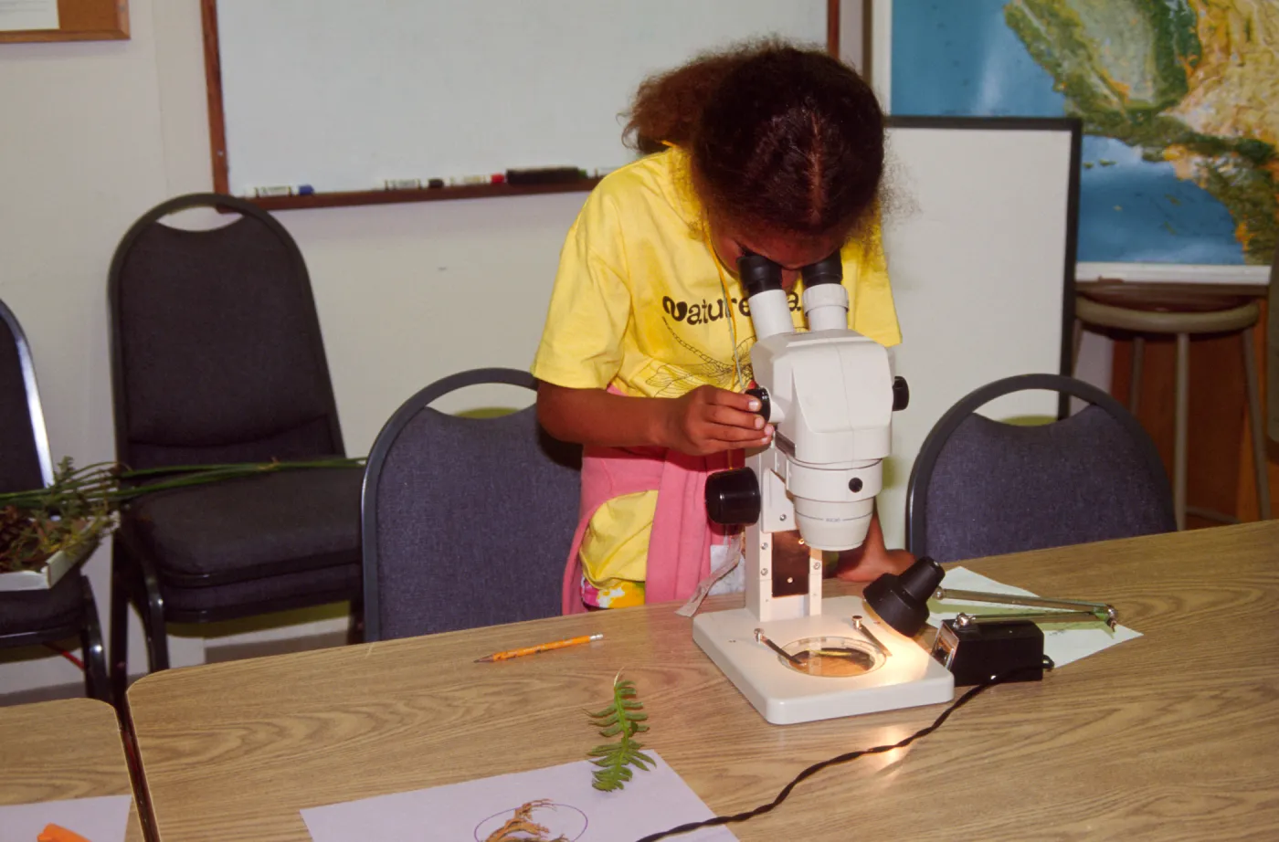 Nature Camp 2000