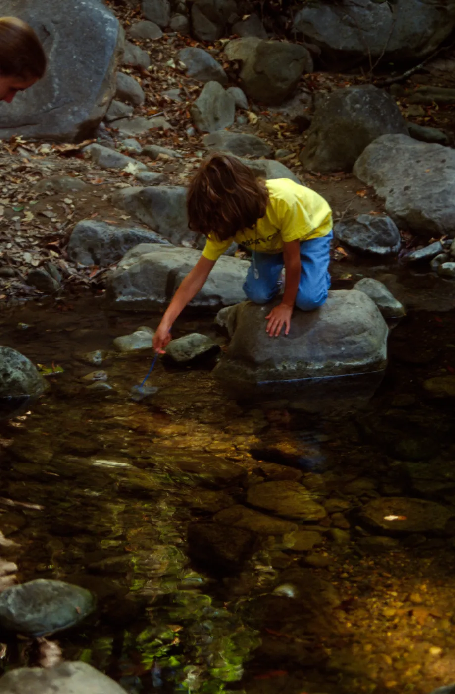 Nature Camp 2000
