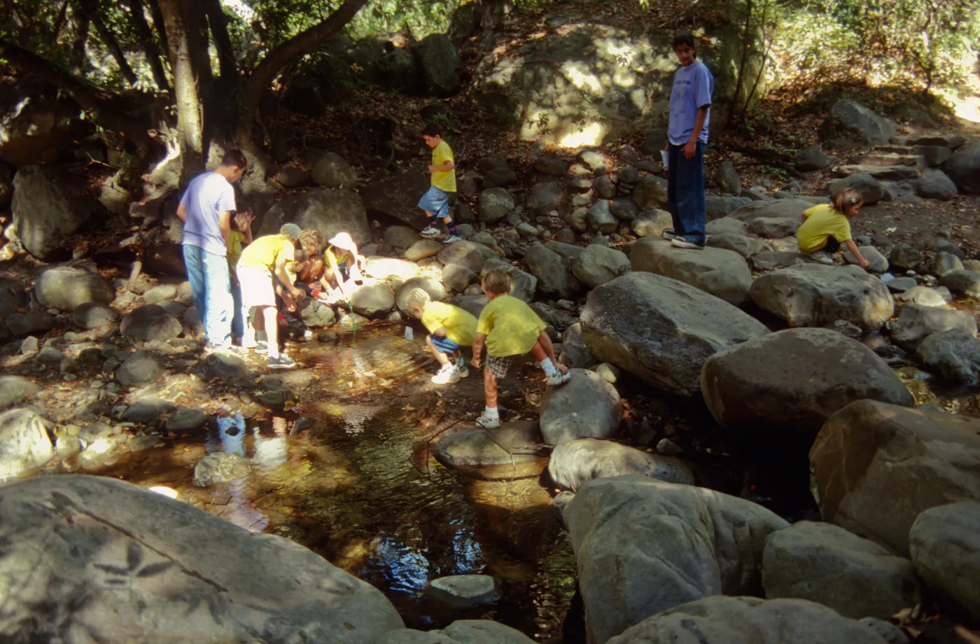 Nature Camp 2000